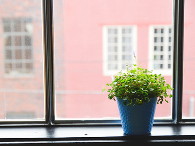 一键解决问题的ddos攻击